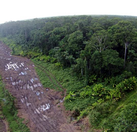 suriname commewijne